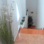 Casa de Férias Arenal *